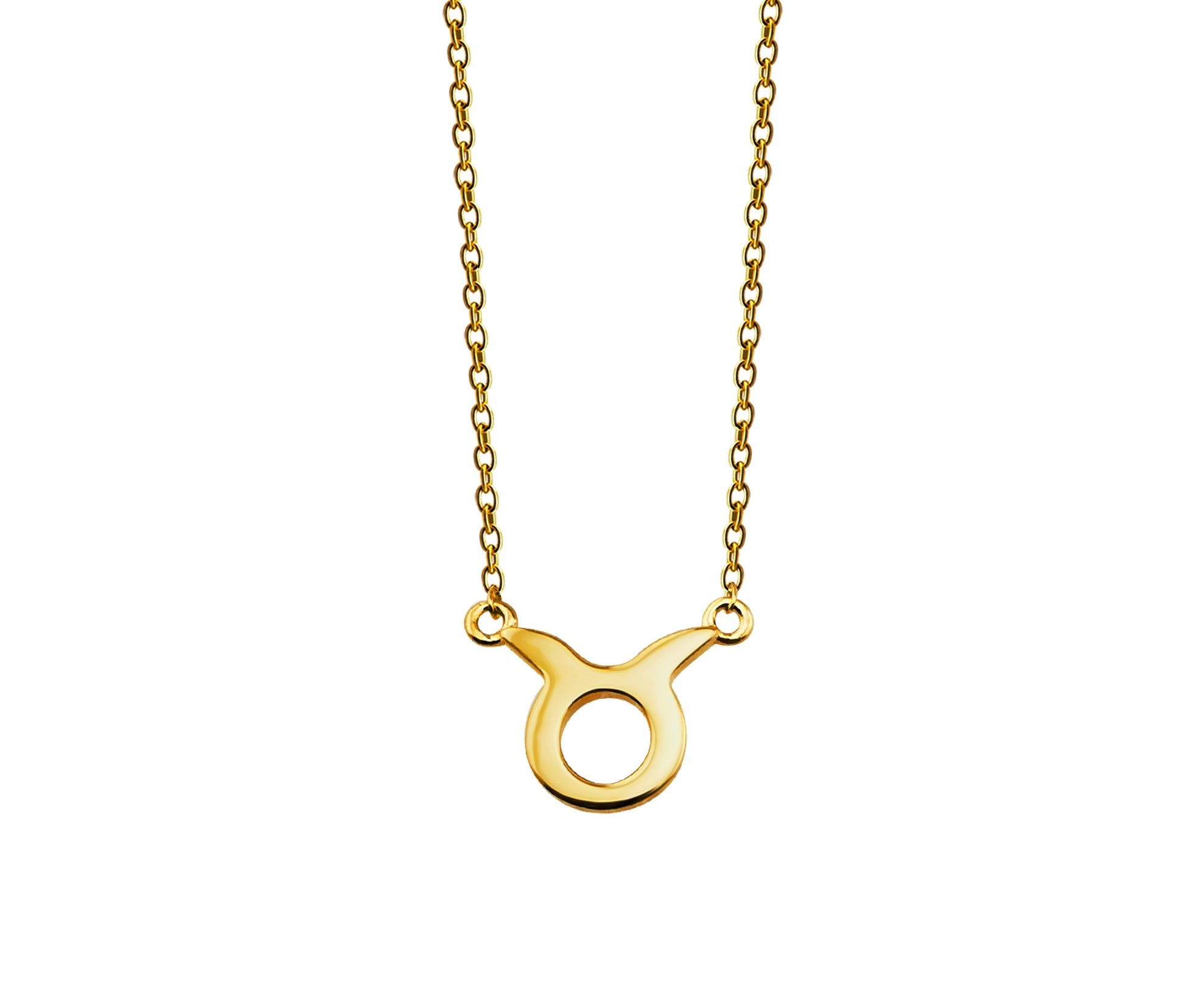 Stier Ketting Goldplated Zodiac ZN005G